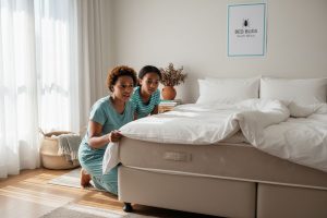 bed bugs south africa